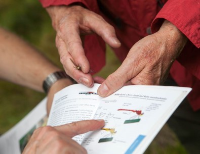 A hand holding a recently captured dragonfly over an open field guide that provides information on the species.
